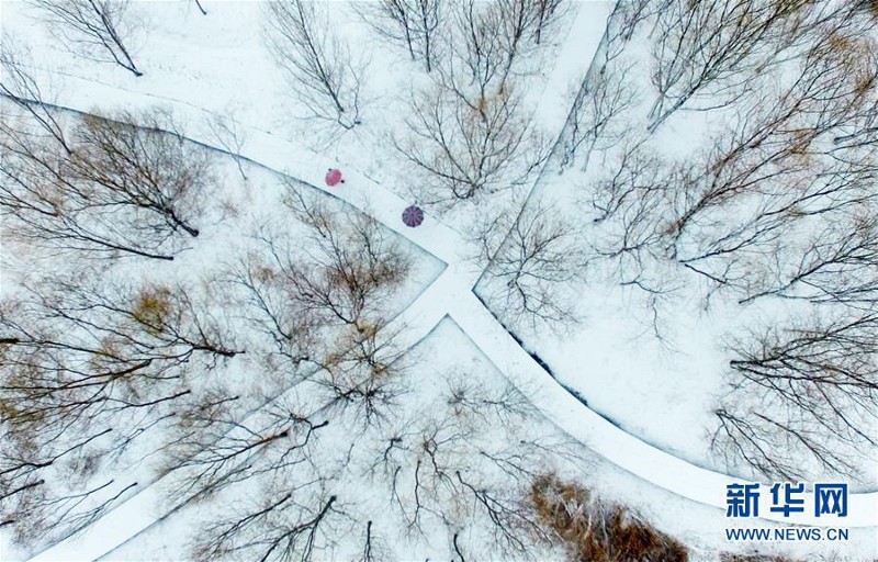 Giữa mùa đông lạnh không tưởng ở Trung Quốc, gia đình vẫn mở tiệc linh đình, ăn cỗ ngay dưới trời mưa tuyết